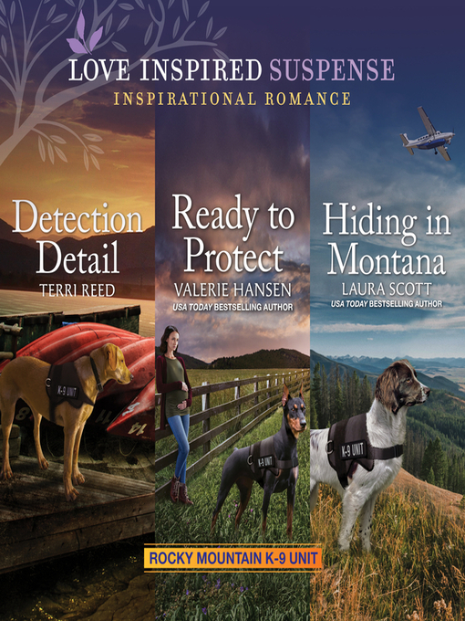 Title details for Detection Detail / Ready to Protect / Hiding in Montana by Valerie Hansen - Available